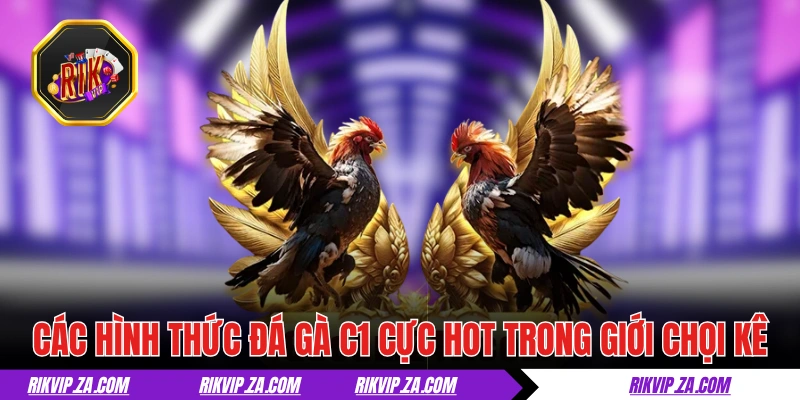 Đá Gà C1- Nơi Hội Tụ Những Chiến Kê Máu Lửa Hàng Đầu 3 Các hình thức đá gà C1 cực hot trong giới chọi kê