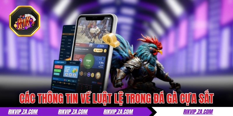 Đá Gà Cựa Sắt - Tìm Hiểu Thể Loại Chọi Kê Đậm Chất Máu Lửa 3 Các thông tin về luật lệ trong đá gà cựa sắt